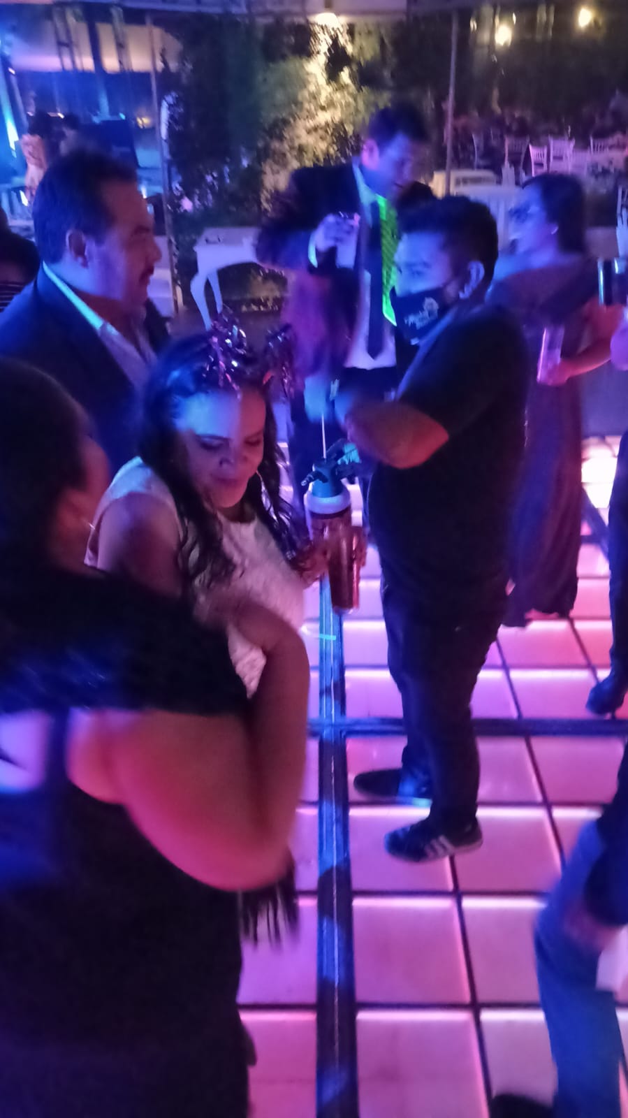 Carga de paloma en la pista
